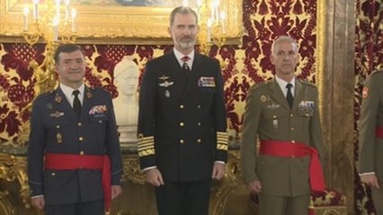 El Rey recibe a un grupo de generales de división de Tierra y Aire