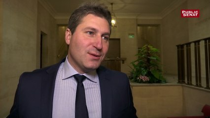 Mathieu Darnaud (LR) sur la réforme constitutionnelle