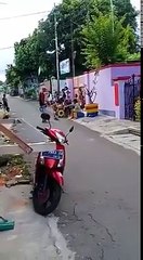 Pojok Programmer: Tips & Insights