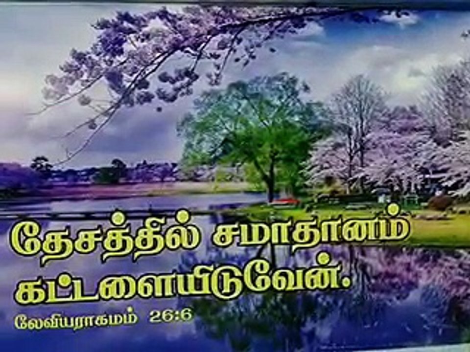 VIDEO0296_1