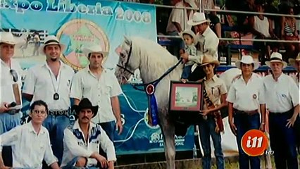 ¡Jardinero es un caballo de paso costarricense