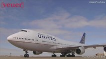 United Airlines Suspends PetSafe Program After a String of Pet Incidents
