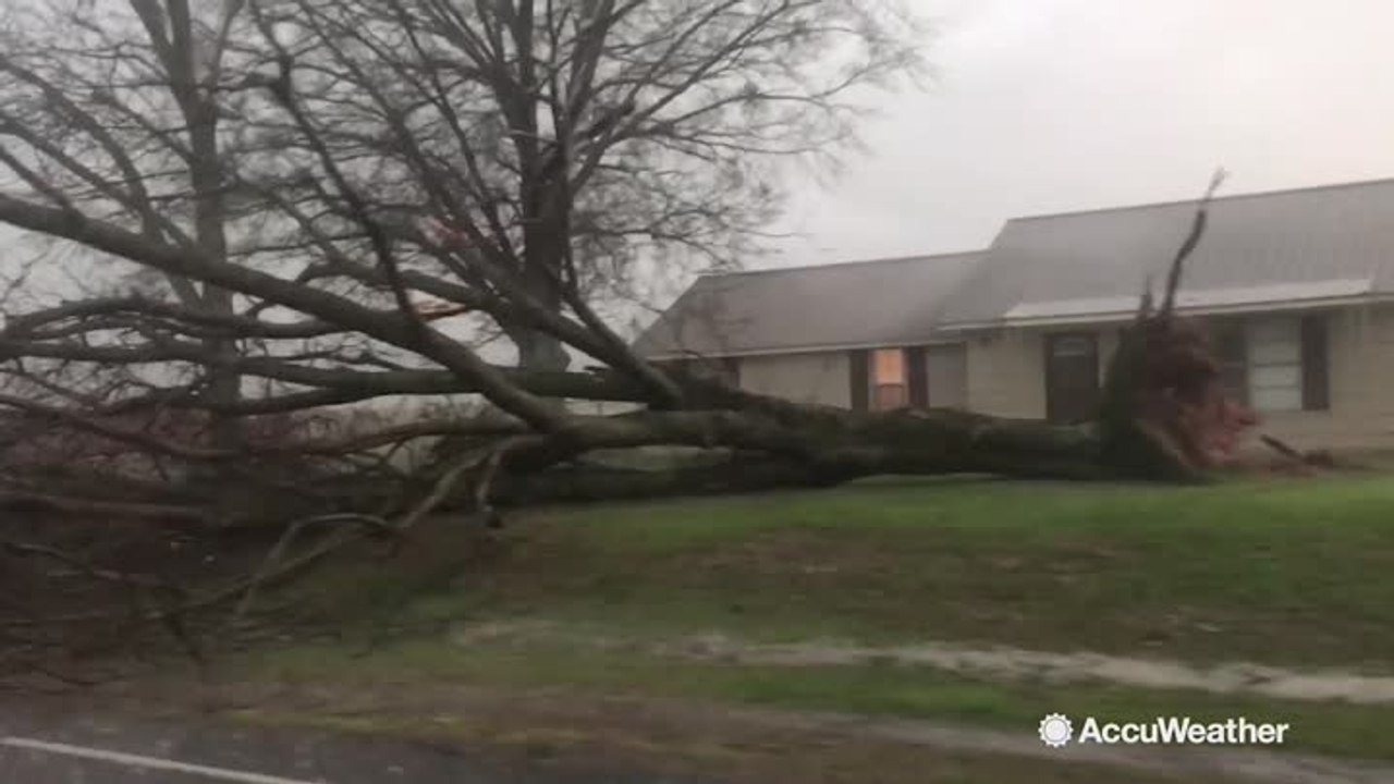 Reed Timmer records tornado forming, destroying...
