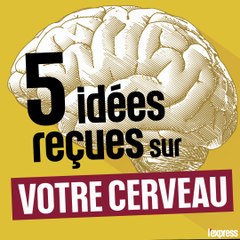 5 idées reçues sur votre cerveau