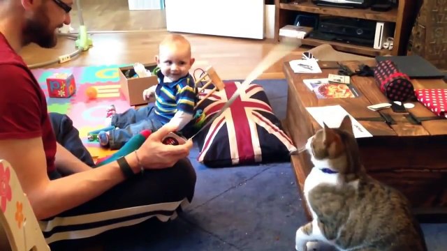 Funny Baby Can't Stop Laughing Giggling at Cats