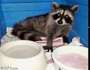 Im gunna kill you!... Oh wait this is actually pretty good! Thank you.