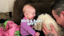 Top 10 Dog _ Baby BFFs