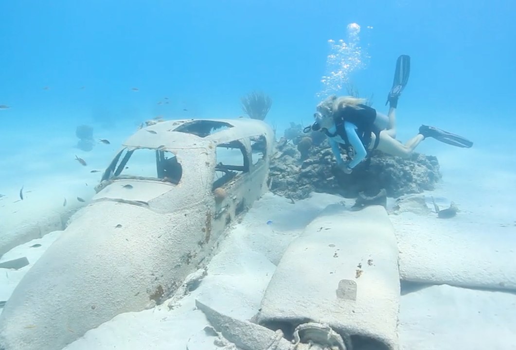 Dive Underwater Hollywood with Stuart Cove's Dive Bahamas