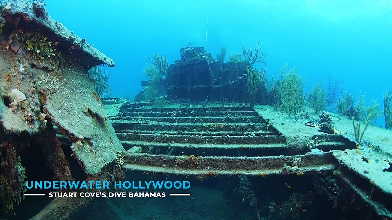 Dive Underwater Hollywood with Stuart Cove's Dive Bahamas