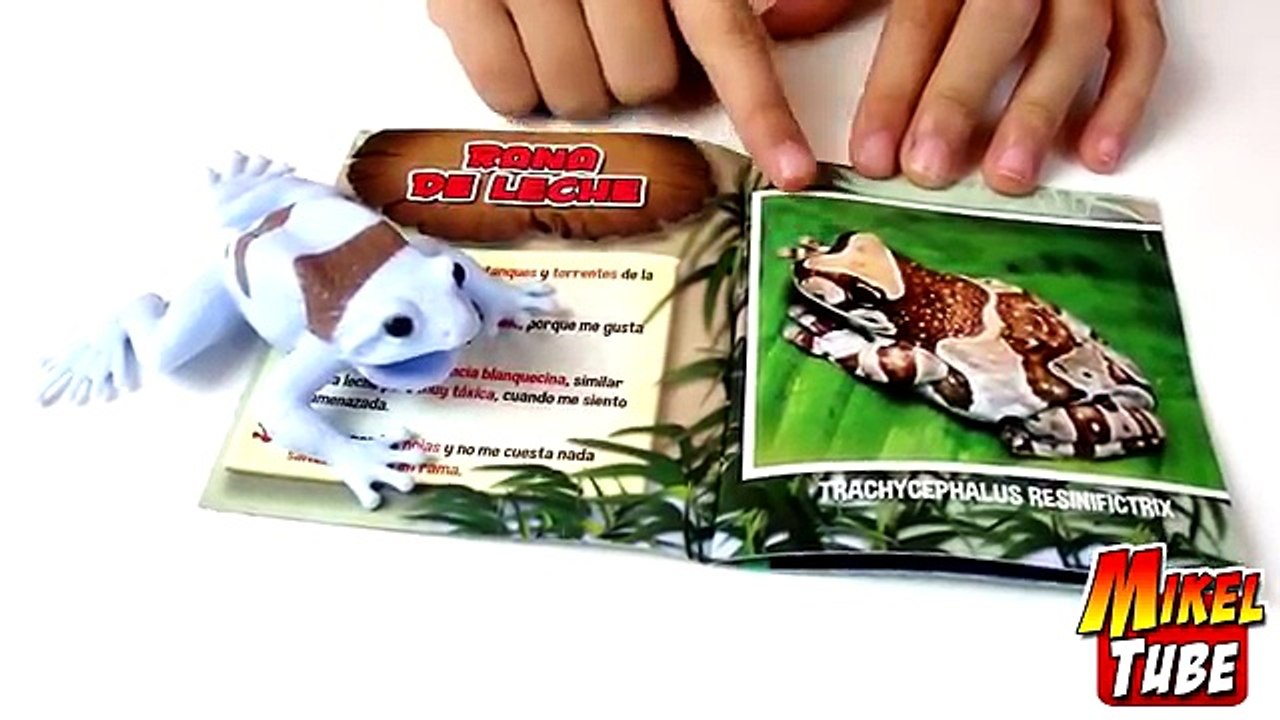 Abrimos 3 sobres de FROGS & CO. en Español