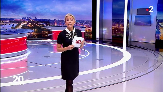 Faune : pourquoi un tiers des oiseaux a disparu ?