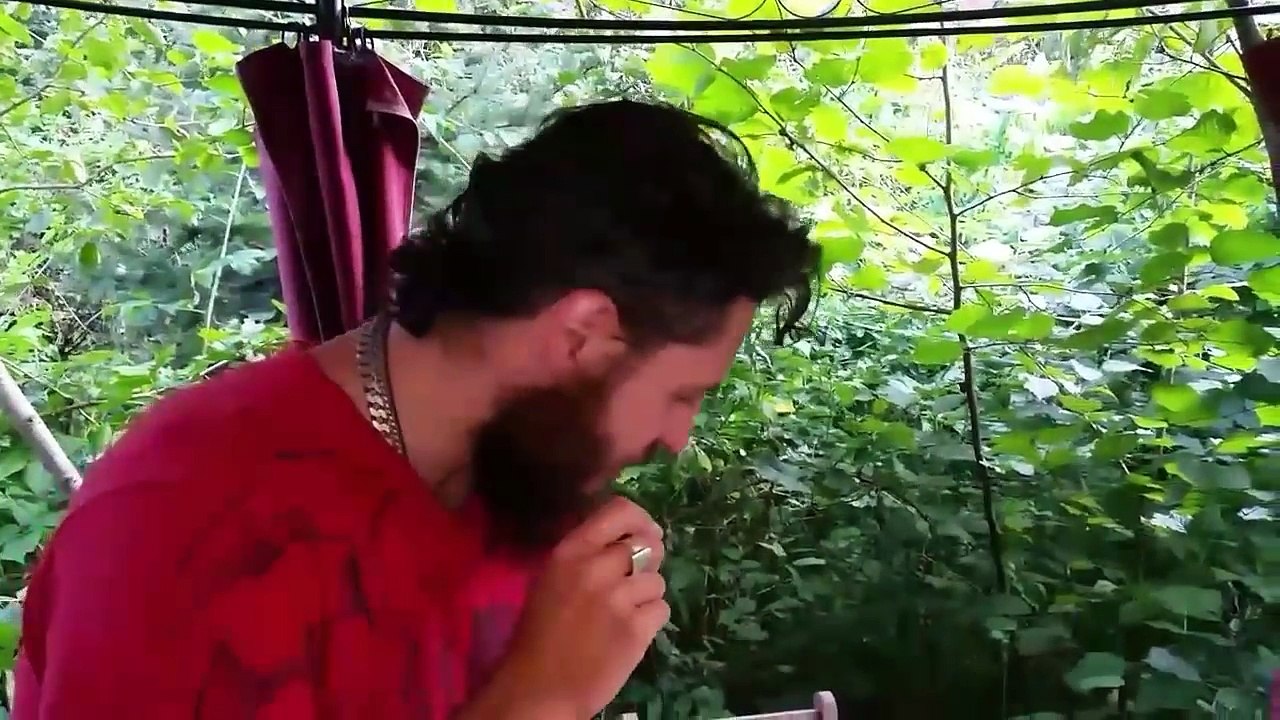 70.Esencja z kwiatow Pioluna czyli jak spelnic swoje marzenia senne--%29