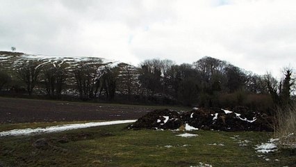 Cerne Abbas - Cerne Abbas Giant