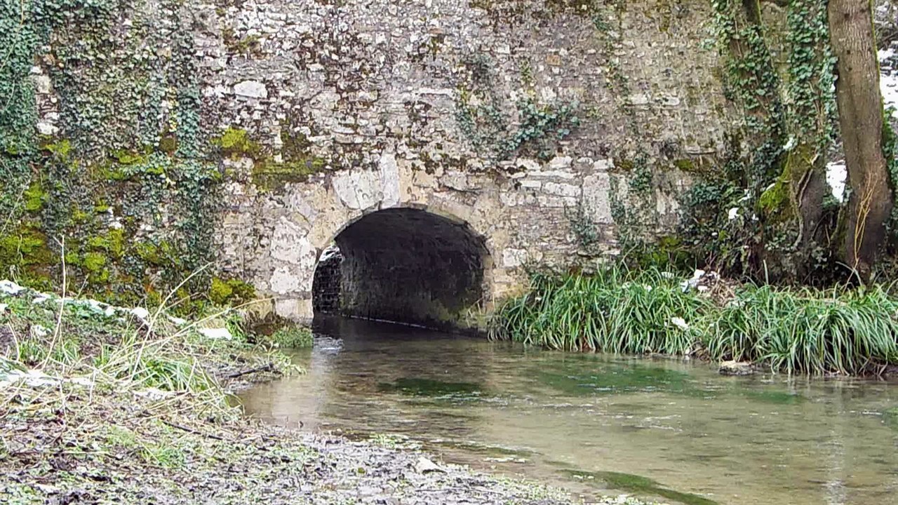 Cerne Abbas - River