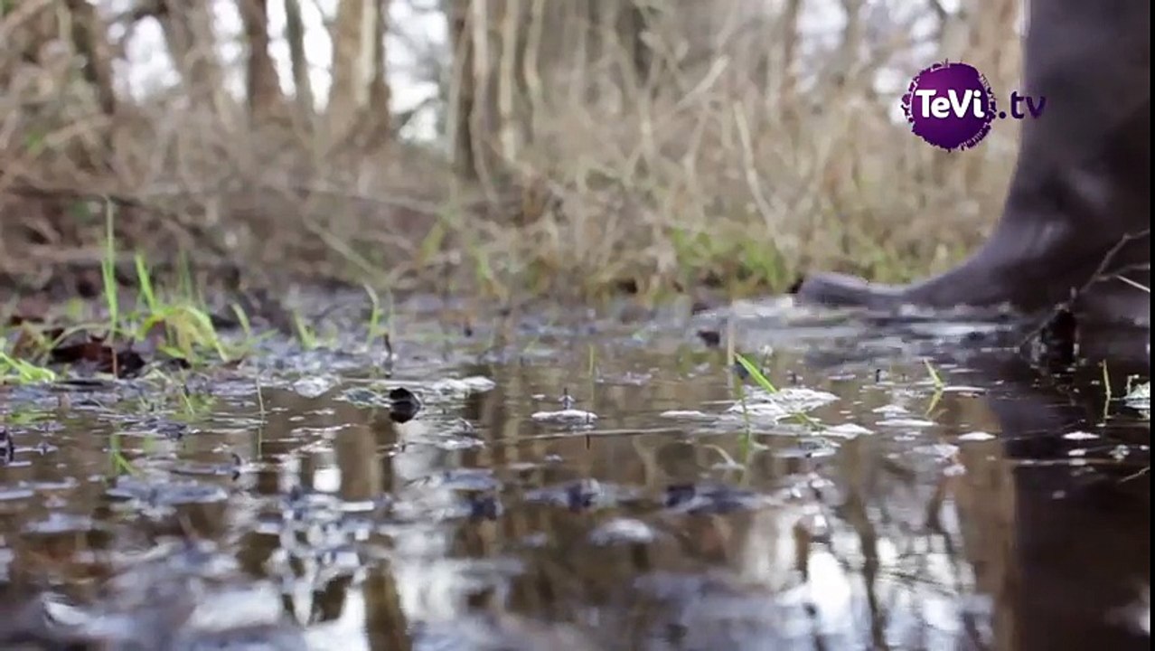 Au revoir l'hiver au marais