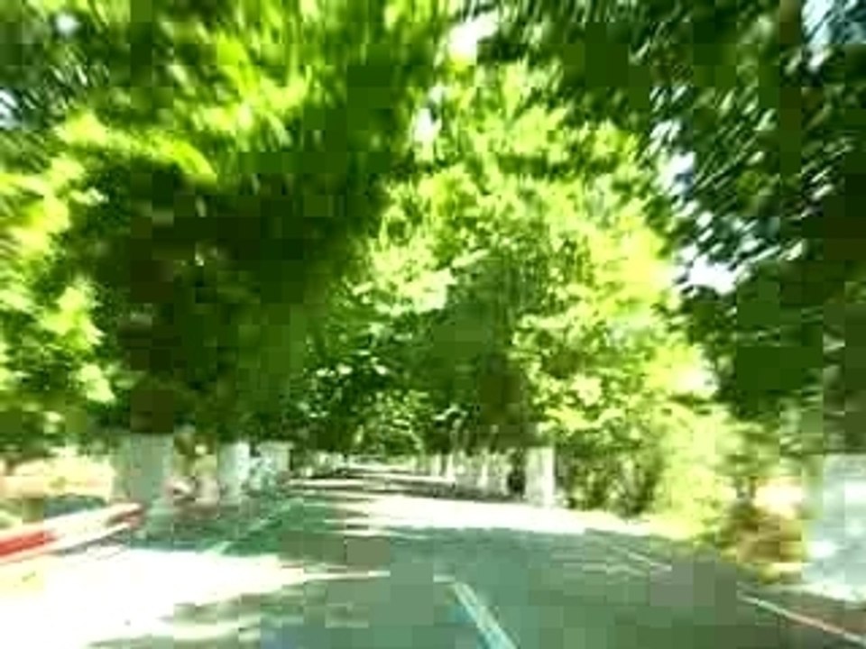 SIDI-AICH (Loudha Touchanines)