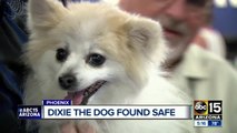 Dixie the pony riding dog has been found safe