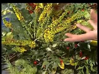 Couronne naturelle de noel avec hubert le jardinier