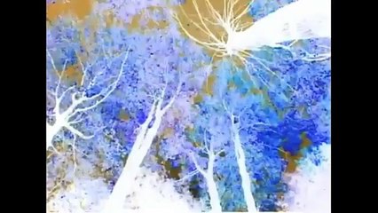 Baby Monet in G Major [Part 2]