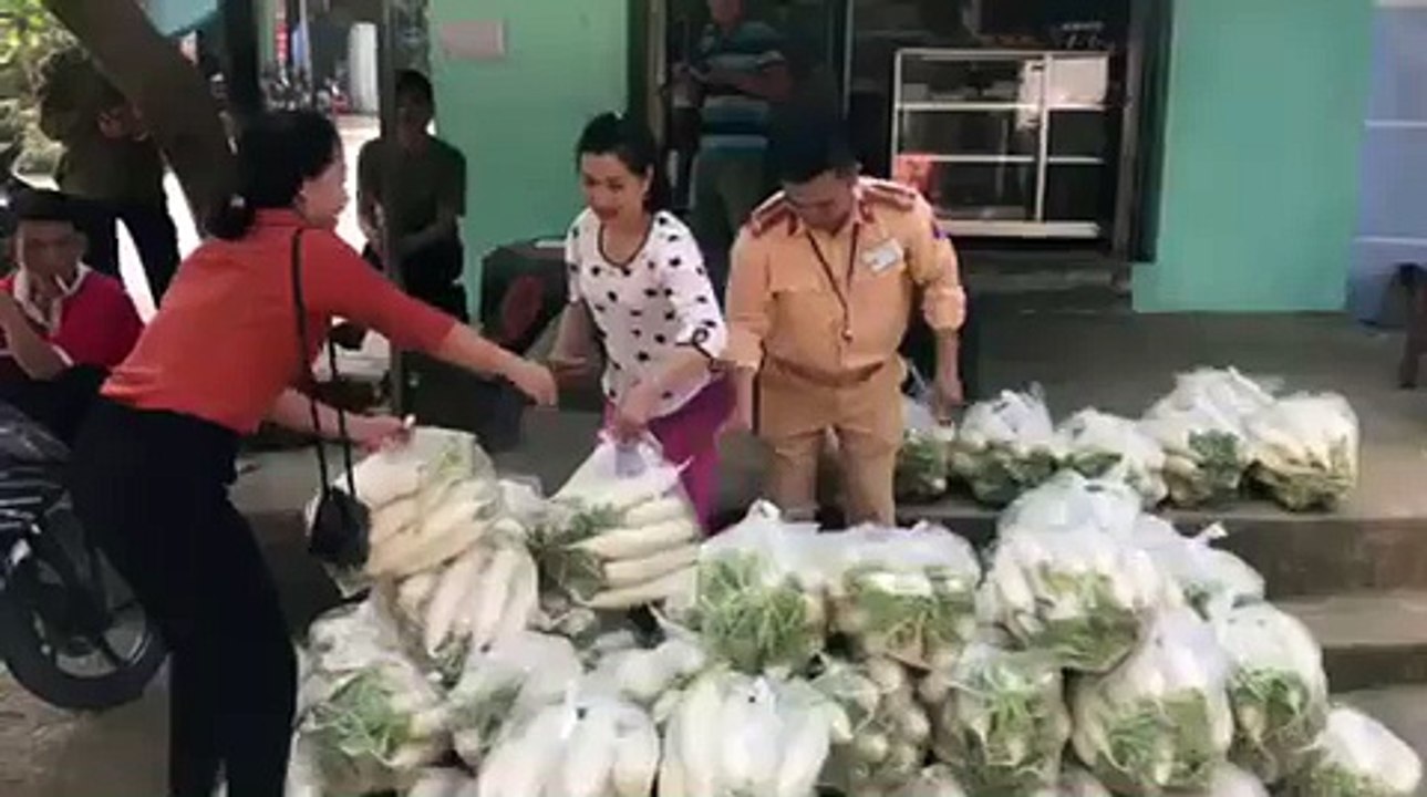 CSGT hăng hái ra tay "giải cứu" hàng nghìn tấn củ cải giúp người dân