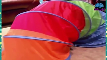 اجمل مقاطع الفديو المضحكه للاطفال| اضحك من قلبك  | Funny Videos Of Kids
