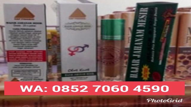 Termurah Harga Grosir!! WA: 0852 7060 4590 Agen Hajar Jahanam Mesir Medan