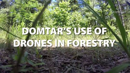 The Future of Forestry: Domtar’s Use of Drones