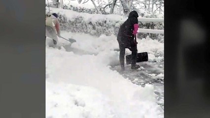 행안부, 남부지방 강풍·눈 피해 예방 비상근무 돌입 / YTN