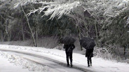[날씨] 절기 '춘분', 때아닌 폭설...꽃샘추위 계속 / YTN