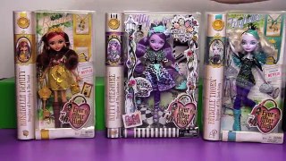 We Return to EVER AFTER HIGH! | Bins Toy Bin