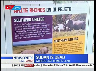 "SUDAN" the world last male white rhino is dead