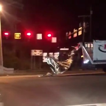 Passer sous un pont en camion... Raté ! Le toît sur la route !