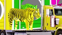 Learn Colors with Animals Tiger Lion Gorilla & others - Fun Learning Video for Kids