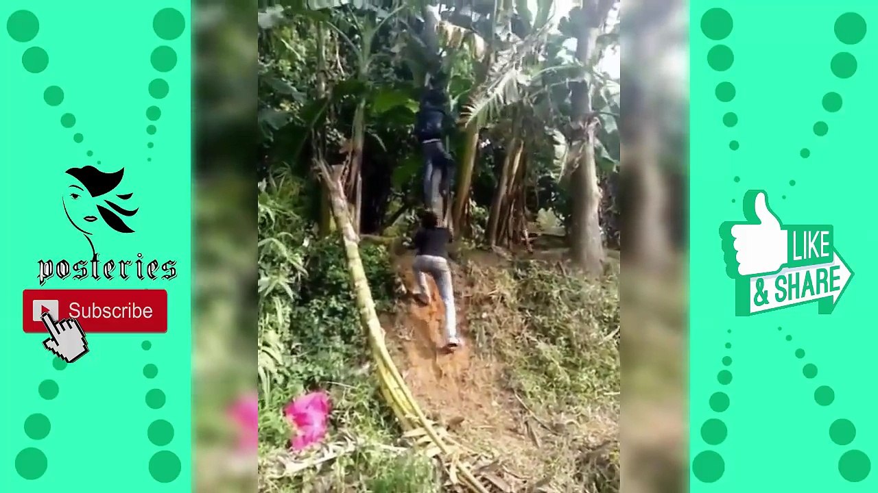 Funny Fails Compilation 2017  Try Not To Laugh part 31 【New Funny】