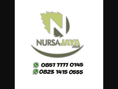 BERPENGALAMAN, WA +62 823- 1415-0555, Tas Promosi Kit