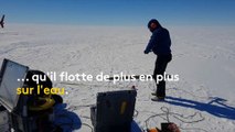 Antarctique : un glacier grand comme la France inquiète les scientifiques