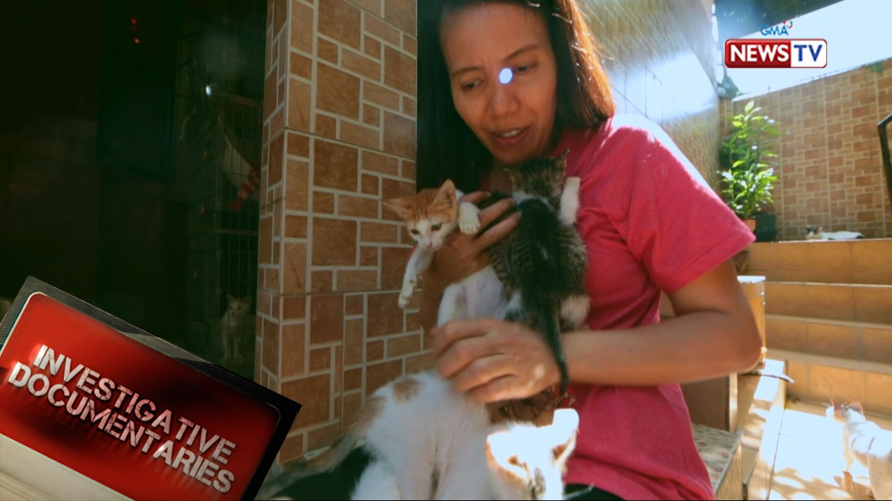Investigative Documentaries: Ang babaeng may mahigit 50 na pusa