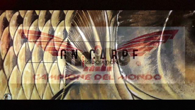 Forum Carpe et silure 2018 - Carp Sounder