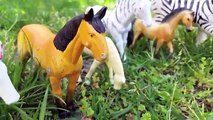 Cute Toy Horses & Zebras BIG Collection Real Horse Sounds Coleccion de Caballos y Zebras de Juguete