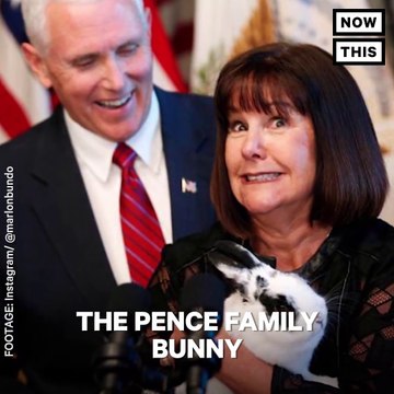 John Oliver wrote a children's book about Mike Pence's family bunny being gay — and it's already a bestseller