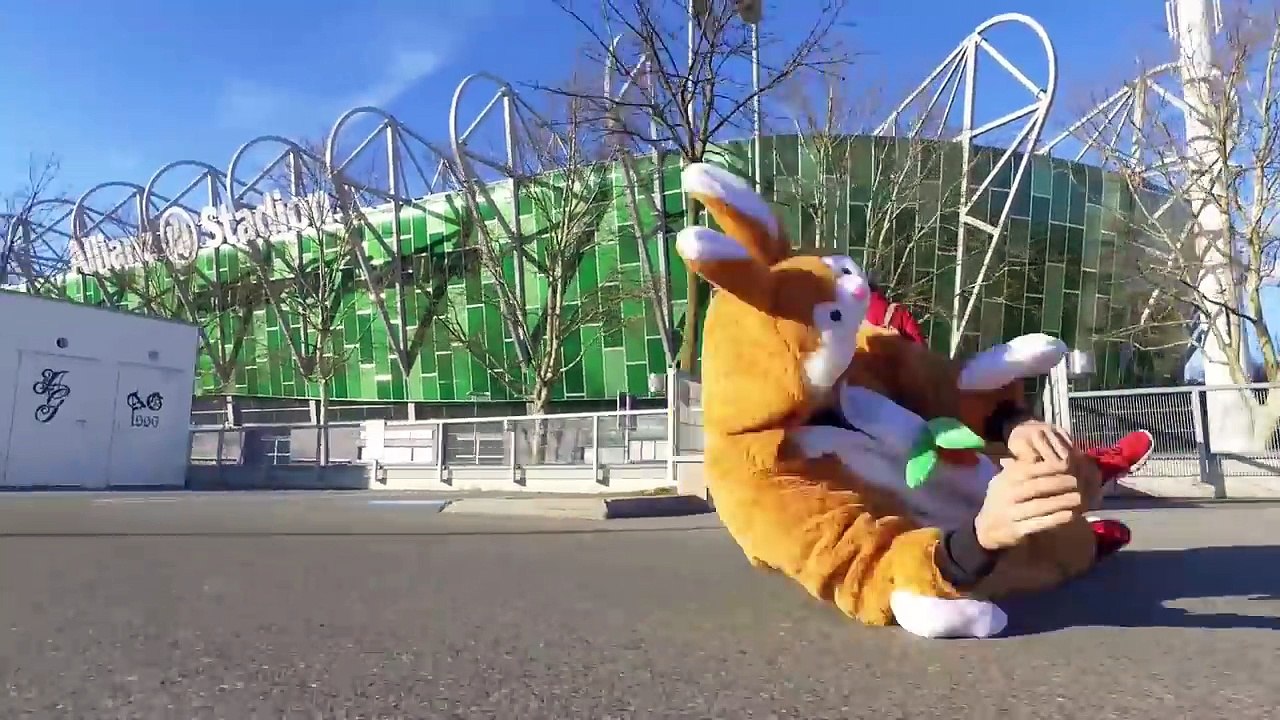 Guido - ► Wo san de Hasen ◄ offizielles Musikvideo