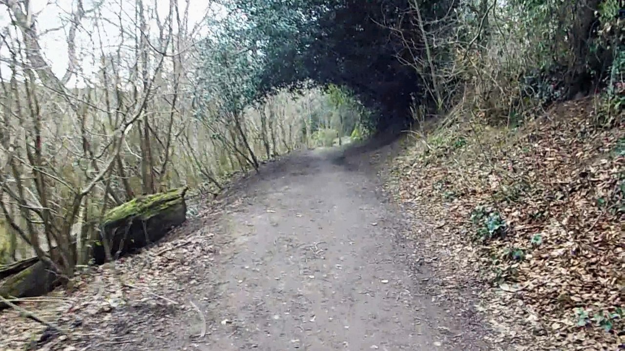 Ninesprings Park - Video 8