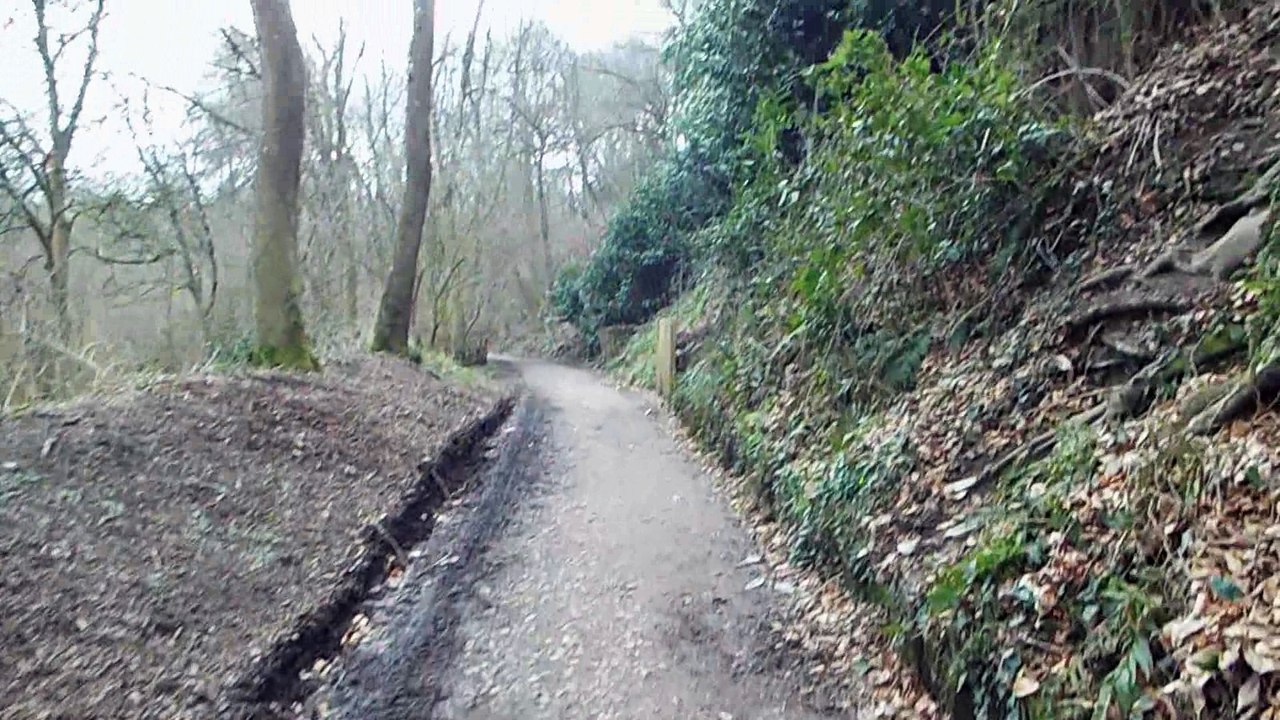 Ninesprings Park - Video 5