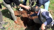 Filistinliler 'Toprak Günü' münasebetiyle ağaç dikti - NABLUS