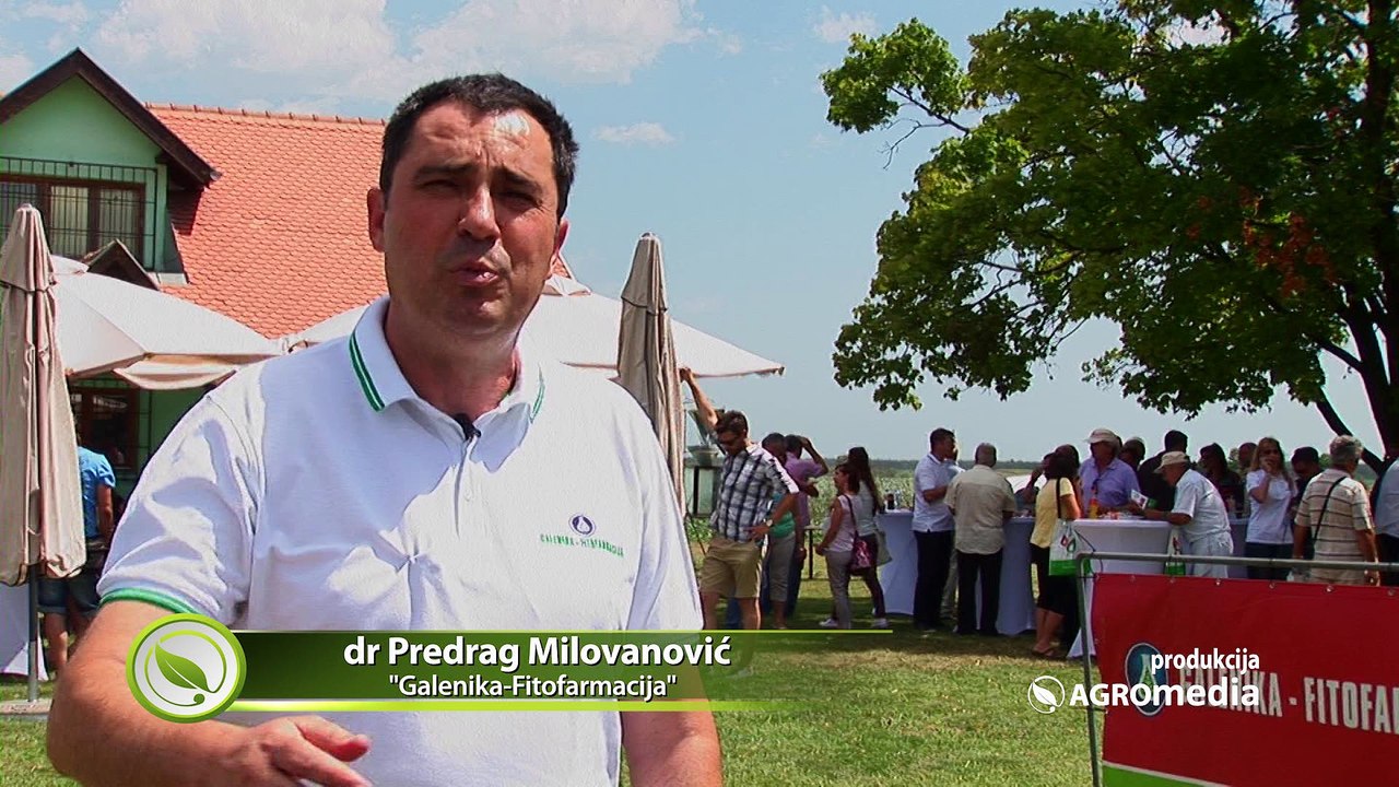 Kako je bilo na Danima jabuke i breskve u Pančevu