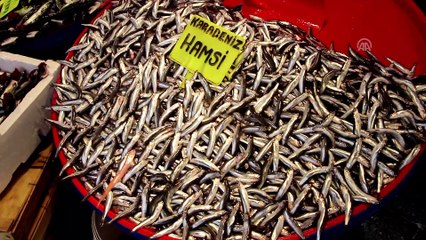 Marmara Denizi'nde fırtına - BALIKESİR