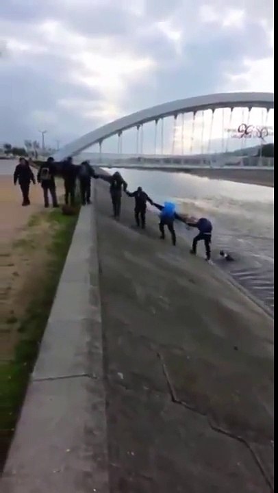 Kanala Düşen Köpeği El Ele Verip Kurtaran İnsanlar