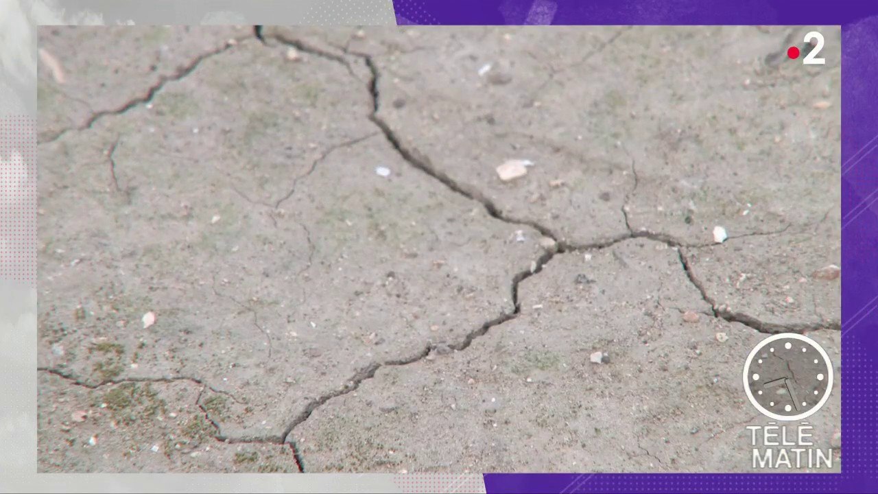 Actu Plus - L'eau sur la planète