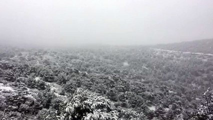 Neige en Provence : circulation compliquée entre La Ciotat et La Bedoule