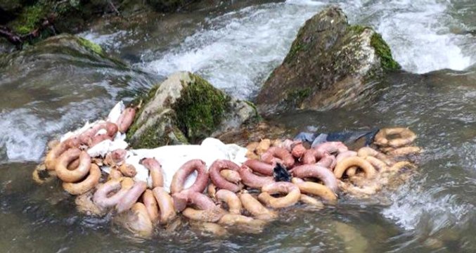 Dereden Yüzlerce Kilo Sucuk ve Kokoreç Çıktı! Atan Firmada Daha Önce At Eti Tespit Edilmiş